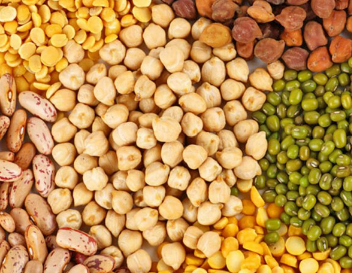 Indian Grocery