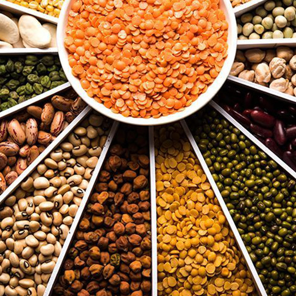 Lentils & Pulses